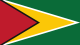 Flag_of_Guyana_(fringed).svg